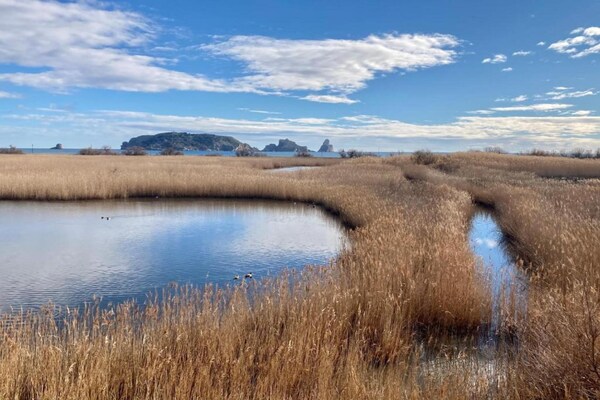 Foto van Appartement in Estartit vlakbij het strand - Vakantiehuis in Estartit - AreaSummer1KM