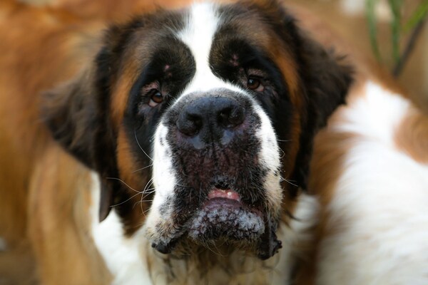 Foto van Verblijf op het Andalusische platteland - Vakantiehuis in Villanueva de la Concepción - Ambiance