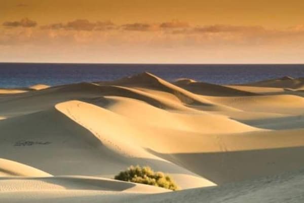 Foto van Bungalow in Maspalomas bij Golfbaan - Vakantiehuis in San Bartolomé de Tirajana - terrace