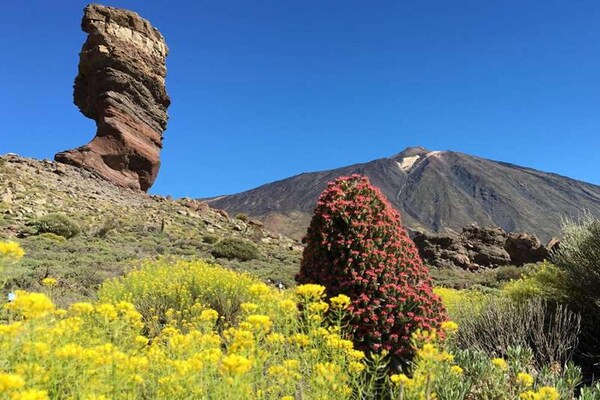 Foto van Appartement voor 4 personen op Tenerife - Vakantiehuis in Acantilados de Los Gigantes - AreaSummer20KM