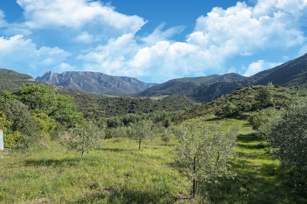 Foto van Prachtig landhuis met privézwembad - Vakantiehuis in Vieussan - AreaSummer1KM