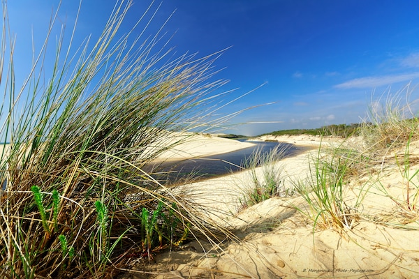 Foto van Ontsnapping aan het zwembad bij Arcachon - Vakantiehuis in La Teste-de-Buch - AreaSummer5KM