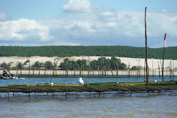 Foto van Ontsnapping aan het zwembad bij Arcachon - Vakantiehuis in La Teste-de-Buch - AreaSummer20KM