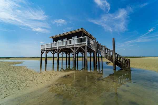 Foto van Ontsnapping aan het zwembad bij Arcachon - Vakantiehuis in La Teste-de-Buch - AreaSummer20KM
