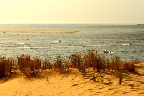 Foto van Ontsnapping aan het zwembad bij Arcachon - Vakantiehuis in La Teste-de-Buch - AreaSummer20KM