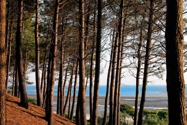 Foto van Ontsnapping aan het zwembad bij Arcachon - Vakantiehuis in La Teste-de-Buch - AreaSummer20KM