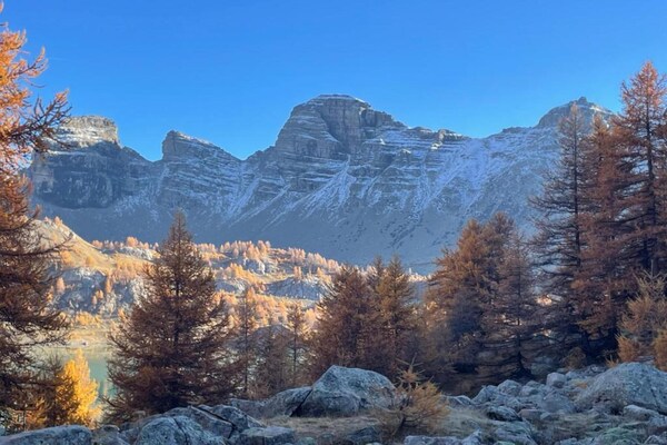 Foto van Studio in Frankrijk bij skigebied - Vakantiehuis in Allos - AreaWinter20KM