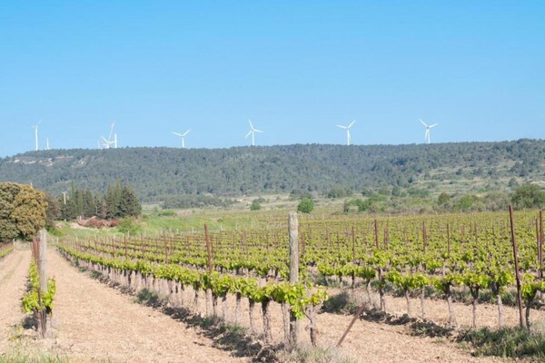 Foto van Stijlvolle villa in Sainte-Valière - Vakantiehuis in Sainte Valière - GardenSummer