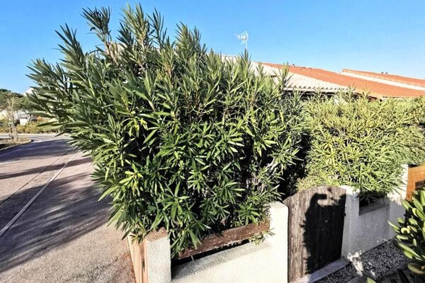 Foto van Maisons & Villas voor 6 personen - Vakantiehuis in LEUCATE - ExteriorSummer