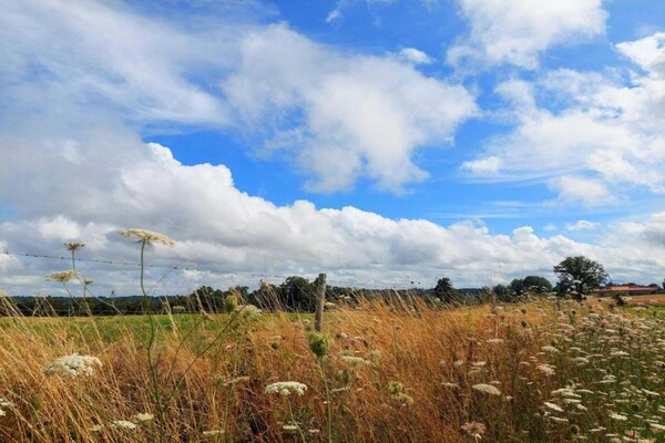 Foto van Gezellig huisje in Roussines, Dordogne - Vakantiehuis in Roussines - AreaSummer20KM