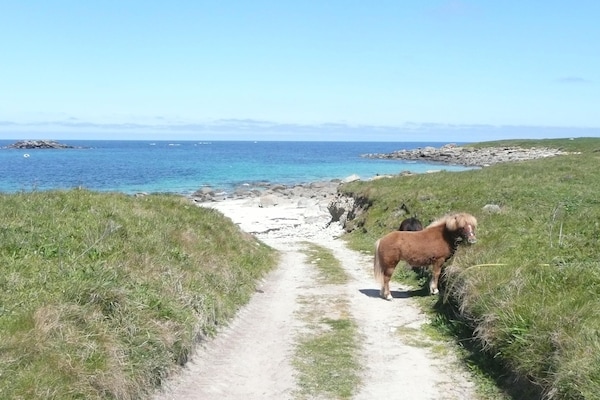 Foto van Granieten Huis in Bretagne met Zeezicht - Vakantiehuis in St. Pol-de-Léon - AreaSummer20KM