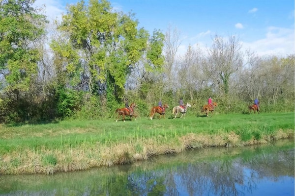 Foto van Modern verblijf met zwembad en terras - Vakantiehuis in AIGUES MORTES - AreaSummer5KM