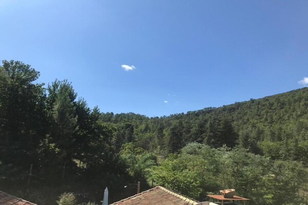 Foto van Cevennes View Retreat in Molières - Vakantiehuis in MOLIERES SUR CEZE - AreaSummer20KM