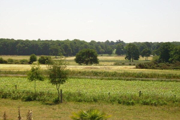 Foto van Bretagne Retreat met zwembad - Vakantiehuis in Le Tronchet - AreaSummer20KM