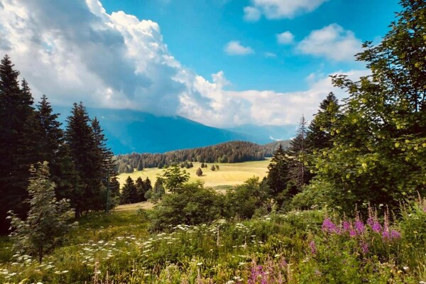 Foto van Ski-in comfort met een schilderachtig uitzicht - Vakantiehuis in Chamrousse - AreaSummer5KM
