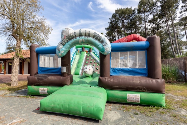 Foto van Appartement voor 6 gasten in het Landes-bos. - Vakantiehuis in ONDRES (LANDES) - Facilities