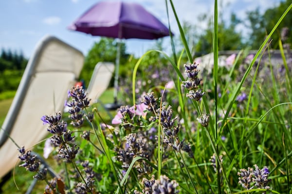 Foto van Villa in Cazals met zwembad en meer in de buurt - Vakantiehuis in Cazals - Ambiance
