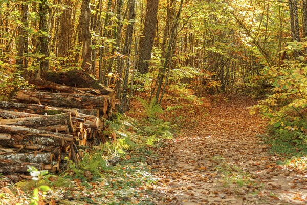 Foto van Gezellig vakantiehuis vlakbij de Causses du Quercy - AreaSummer5KM