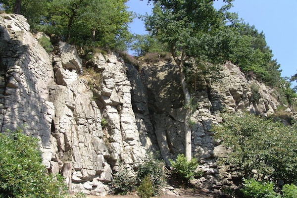 Foto van Bagnoles Escape nabij natuurpark - Vakantiehuis in Bagnoles de l'Orne Normandie - AreaSummer5KM
