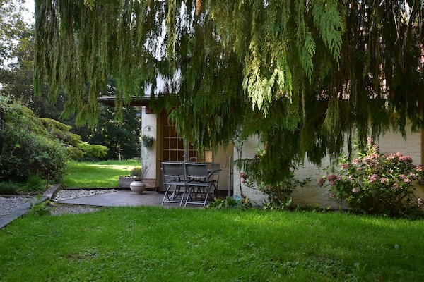 Foto van Vakantiehuis in mooie tuin met molen en vijver - Vakantiehuis in Le Ponchel - TerraceBalcony