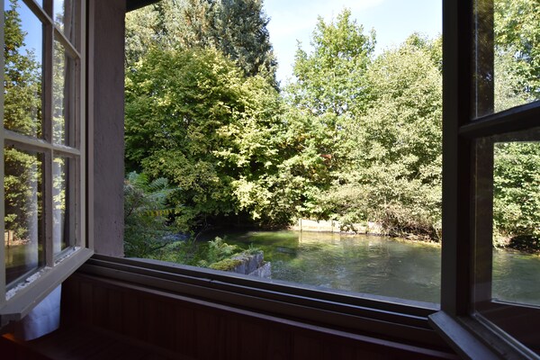 Foto van Vakantiehuis in mooie tuin met molen en vijver - Vakantiehuis in Le Ponchel - ViewSummer