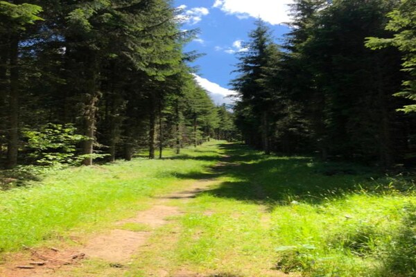 Foto van Appartement in Doucy bij Skipistes - Vakantiehuis in Doucy - AreaSummer5KM