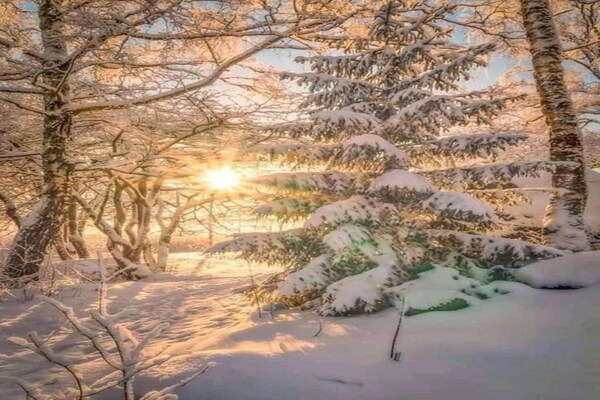 Foto van Appartement in Morillon bij skiresort - Vakantiehuis in Morillon - AreaWinter5KM