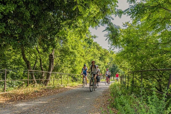 Foto van Villa in Lorgues met privézwembad - Vakantiehuis in Lorgues - AreaSummer20KM