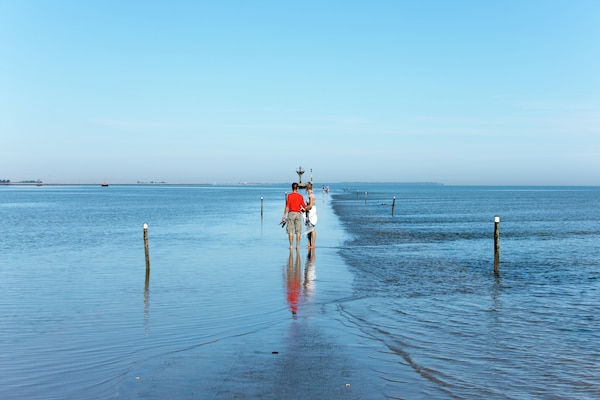 Foto van Gezellig appartement in Bois de la Chaise - Vakantiehuis in Noirmoutier en l'Ile - AreaSummer20KM