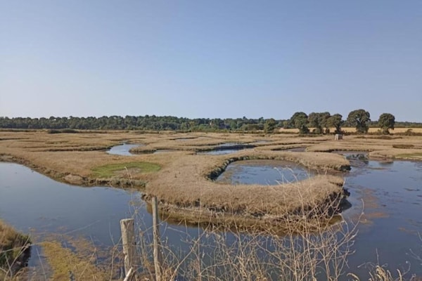 Foto van Vakantiehuis in Avrillé bij zandstranden - Vakantiehuis in Avrillé - AreaSummer20KM