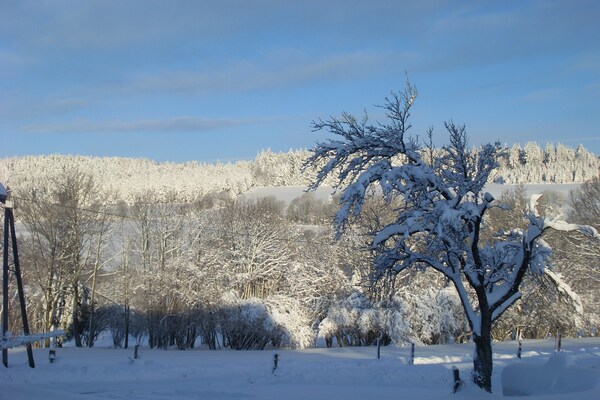 Foto van Huis in Vogezen bij Cascades du Gerhard - Vakantiehuis in Girmont-Val-d'Ajol - ViewWinter