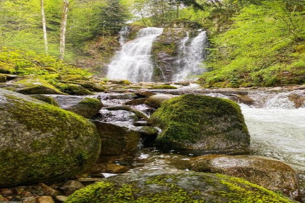Foto van Huis in Vogezen bij Cascades du Gerhard - Vakantiehuis in Girmont-Val-d'Ajol - AreaSummer20KM