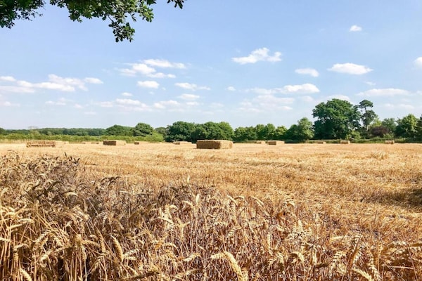 Foto van Mooi huisje in een landelijke ontsnapping, Geen storting - AreaSummer5KM