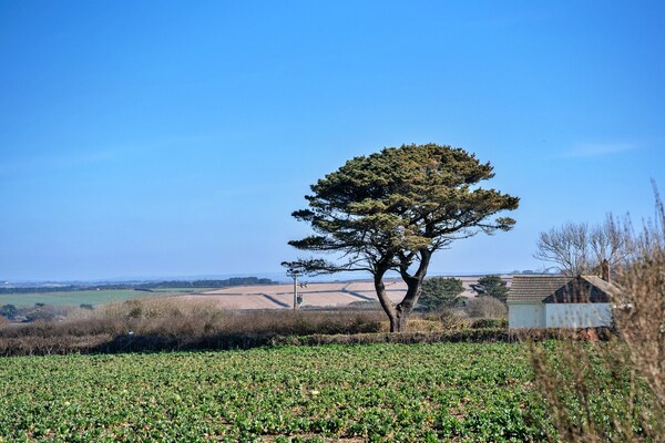 Foto van Vakantiehuis in Marazion bij St. Michael’s Mount - Outdoor