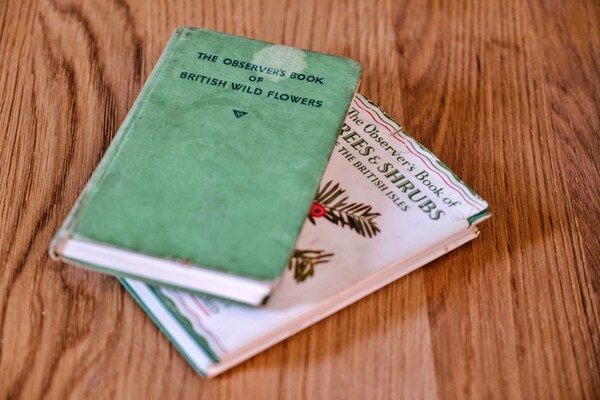 Foto van Cottage in Lewannick bij Cornwall Kust - Vakantiehuis in Lewannick - Ambiance