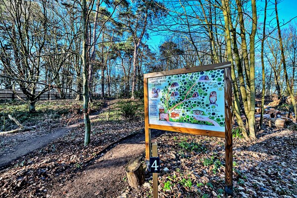 Foto van Glamping in Suffolkse Bossen - Vakantiehuis in Bury St Edmunds - AreaSummer5KM