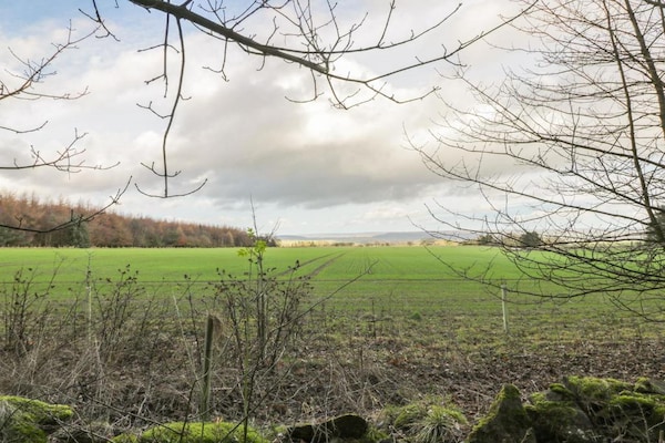 Foto van Lodge in Thirsk met Spa en Wandelpaden - Vakantiehuis in Thirsk - AreaSummer20KM