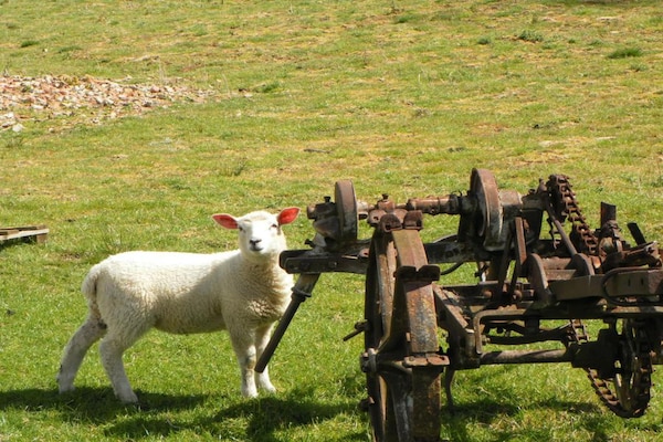 Foto van Cottage in Thirsk bij Wandelpaden - Vakantiehuis in Thirsk - AreaSummer20KM