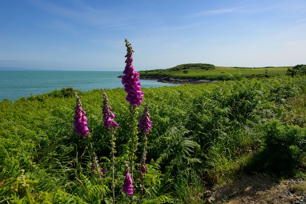 Foto van Bungalow in de kustplaats Pwllheli - Vakantiehuis in Abersoch - AreaSummer5KM
