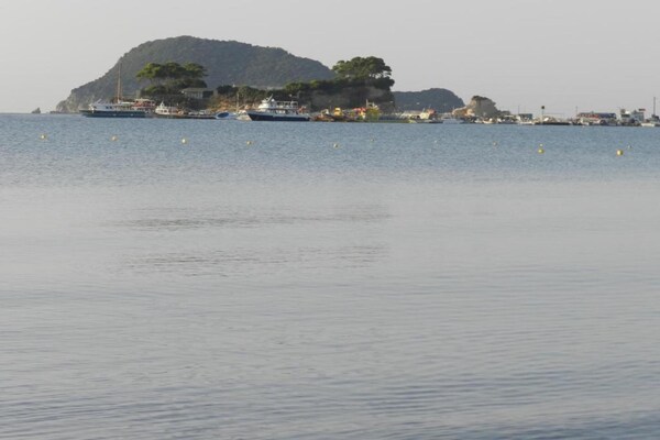 Foto van Villa op Zakynthos met privézwembad & uitzicht - Vakantiehuis in Ζakynthos - AreaSummer20KM