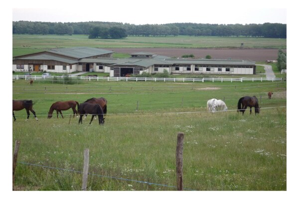 Foto van Apartments Aura - Comfort Studio Apartment 2 with shared swimming pool - Untagged