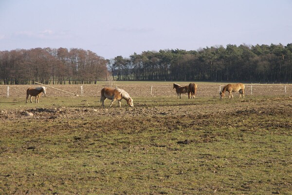 Foto van Apartments Aura - Comfort Studio Apartment 2 with shared swimming pool - Untagged