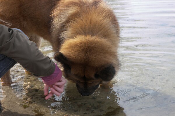 Foto van Apartments Aura - Comfort Studio Apartment 2 with shared swimming pool - Untagged