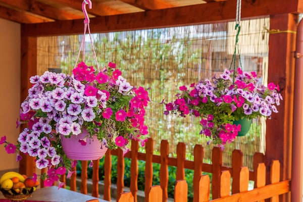 Foto van Apartments Anita-Triple room with terrace - Vakantiehuis in Stobrec - terrace