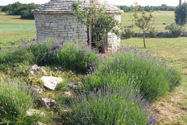 Foto van Authentic Istrian Rooms for Unforgettable Stays - Double Room with Balcony - Outdoor