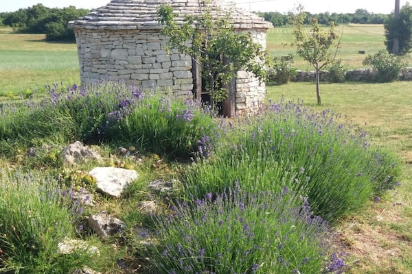 Foto van Authentic Istrian Rooms for Unforgettable Stays - Doube Room - Outdoor