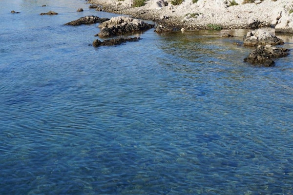 Foto van Appartement in Zaboric vlakbij het strand - Vakantiehuis in Žaborić - AreaSummer1KM