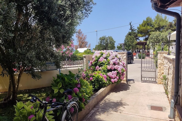 Foto van Beachfront apartment Mareo 6 - Vakantiehuis in Zaton - GardenSummer