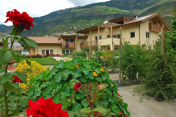 Foto van Appartement in Schlanders bij Stelvio Park - Vakantiehuis in Schlanders - ExteriorSummer
