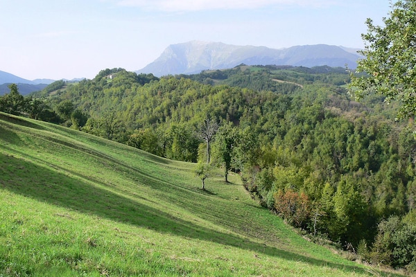 Foto van Stijlvol appartement voor 6 in Montefortino - Vakantiehuis in Montefortino - AreaSummer5KM